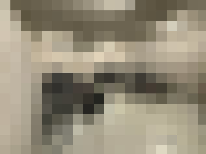  / #19
