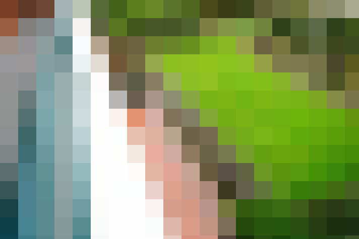  / #13