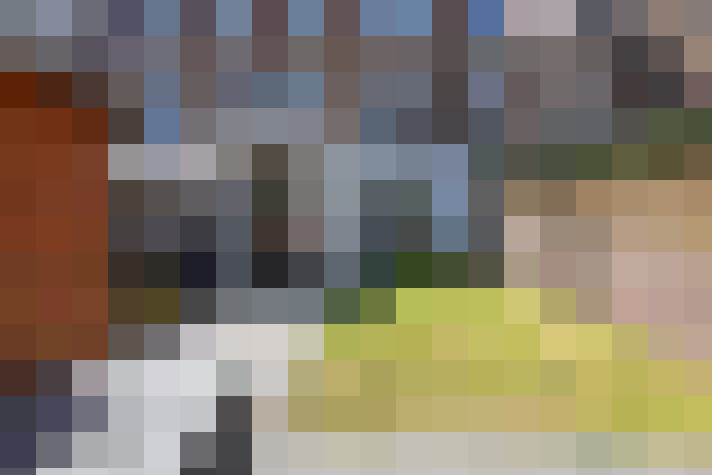  / #14