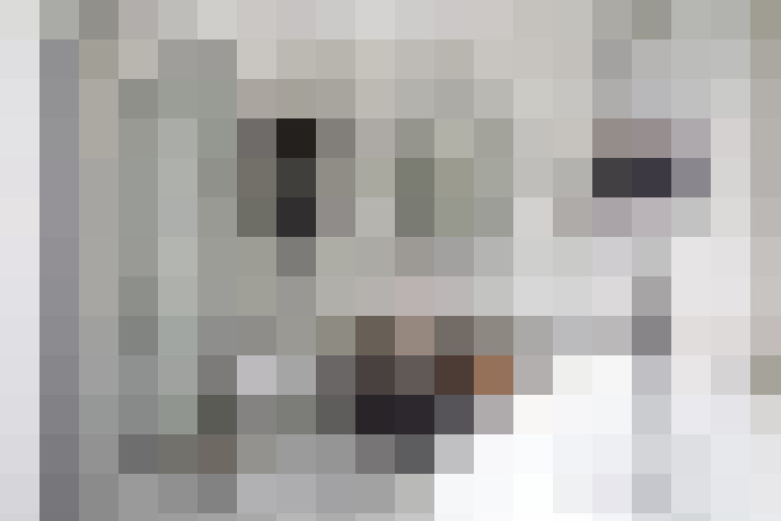  / #21