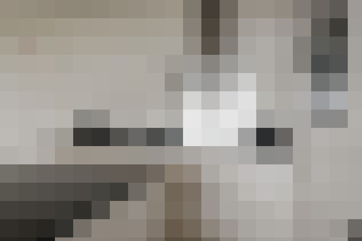  / #11