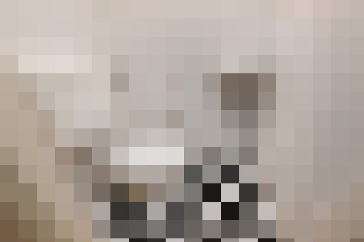  / #15