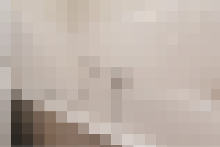  / #18