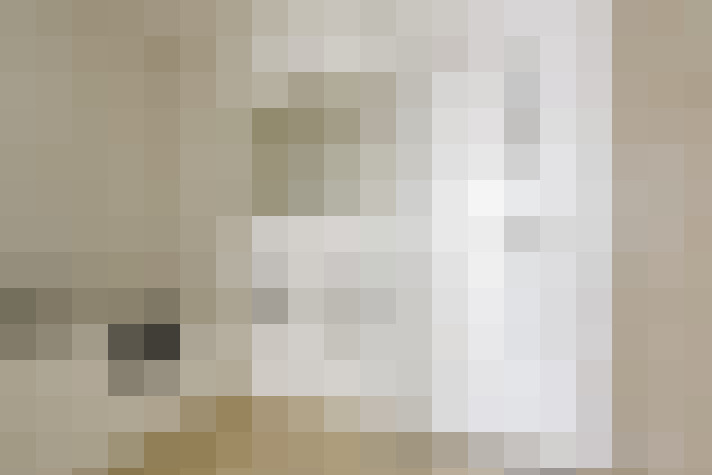  / #15
