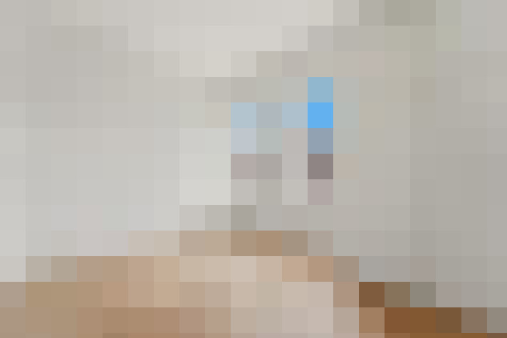  / #20