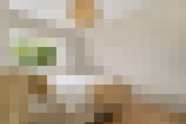  / #6