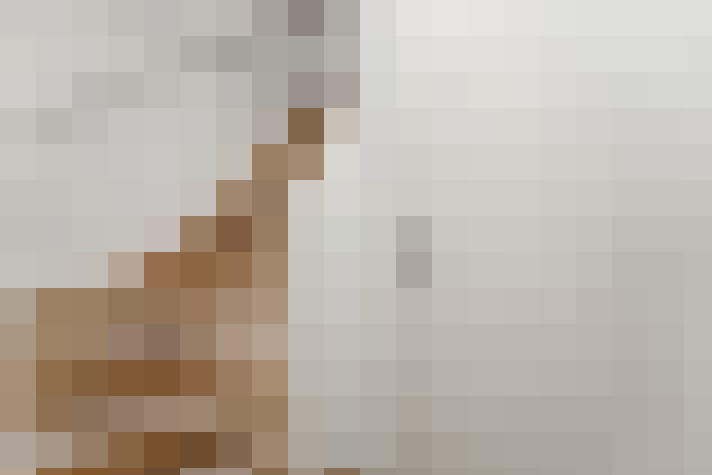  / #24