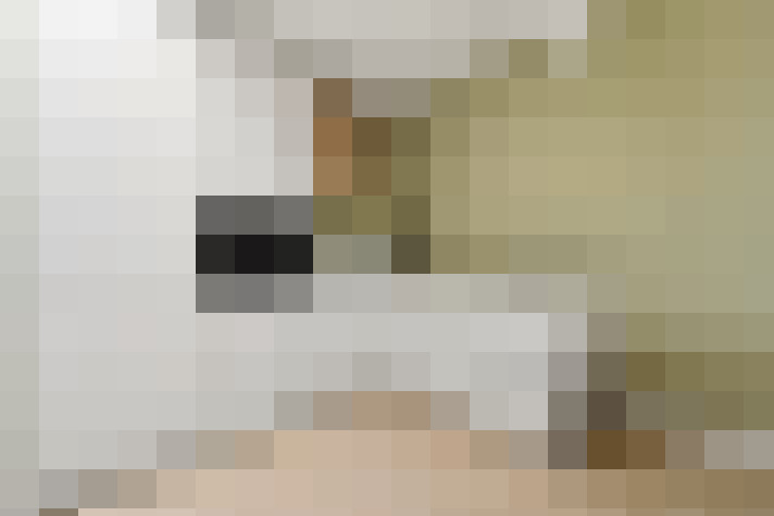  / #14