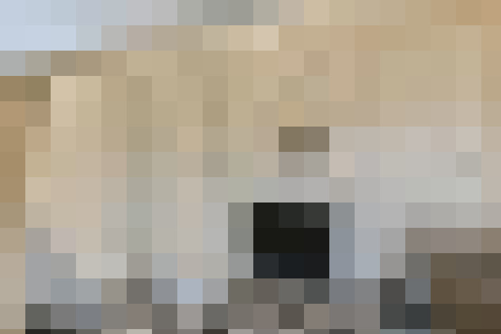  / #20