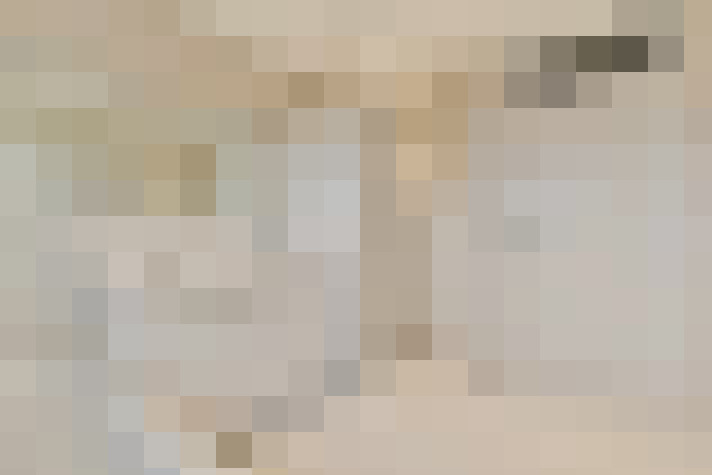  / #15