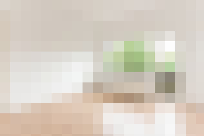 / #21