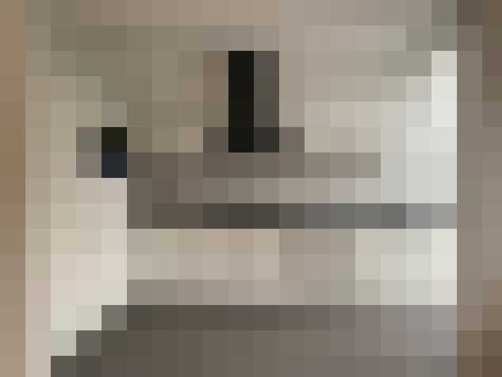  / #11