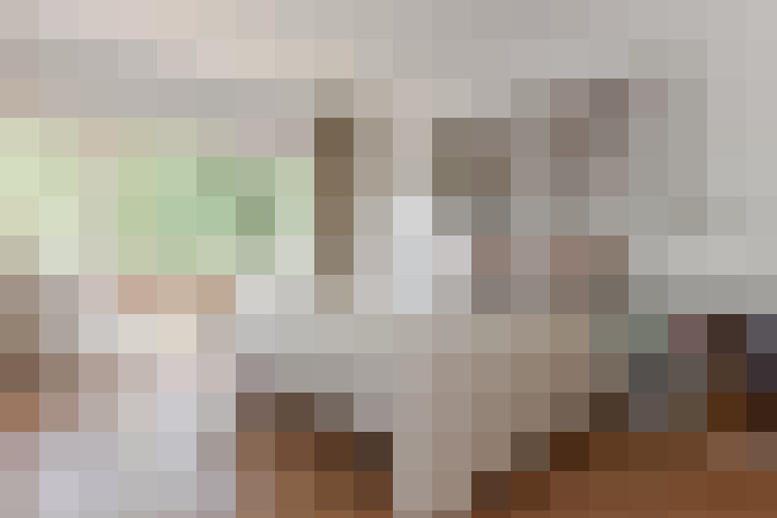  / #15
