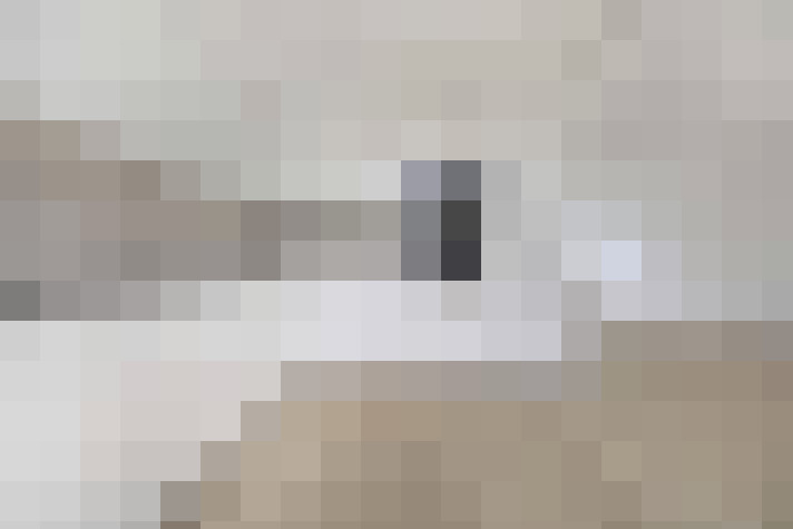  / #11