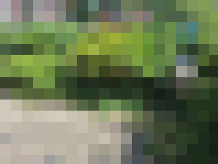  / #17