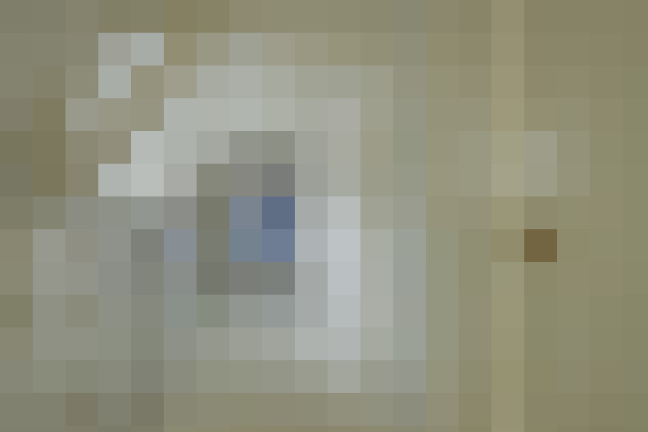  / #15