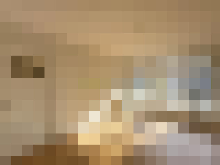  / #13
