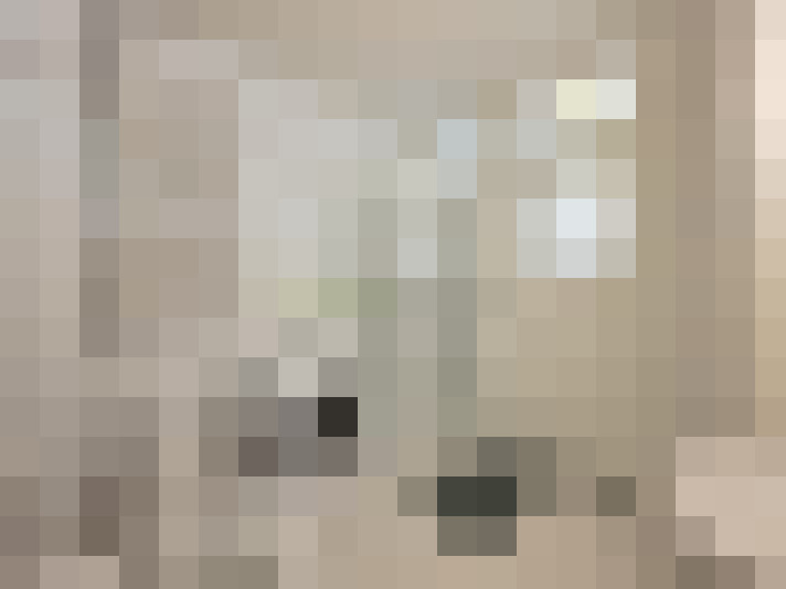 / #21