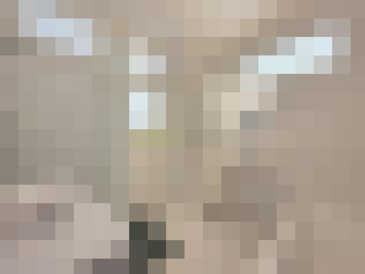  / #22