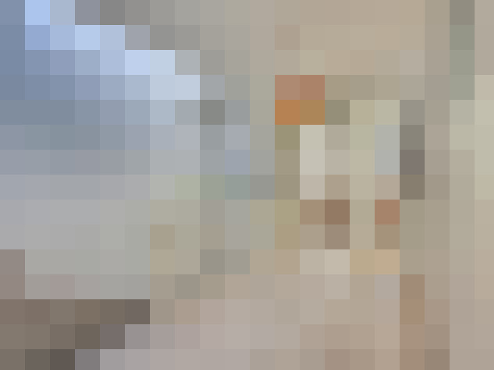  / #24