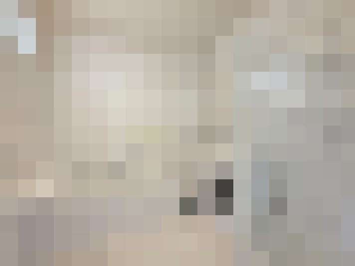  / #19