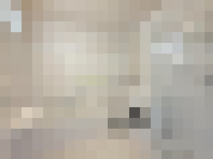  / #20