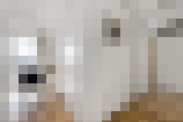  / #15