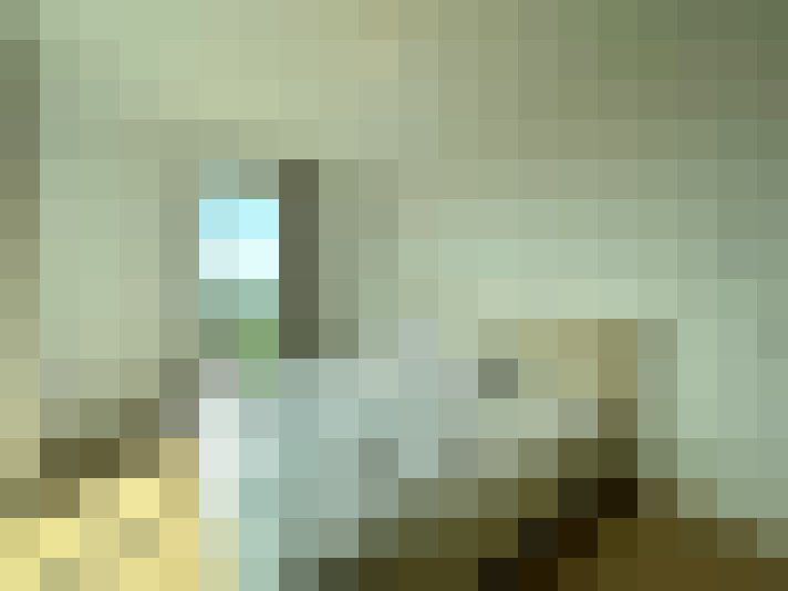  / #19