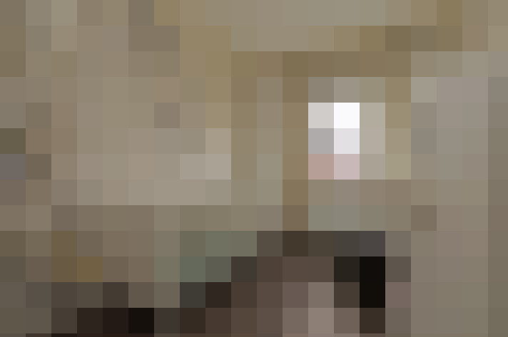  / #13