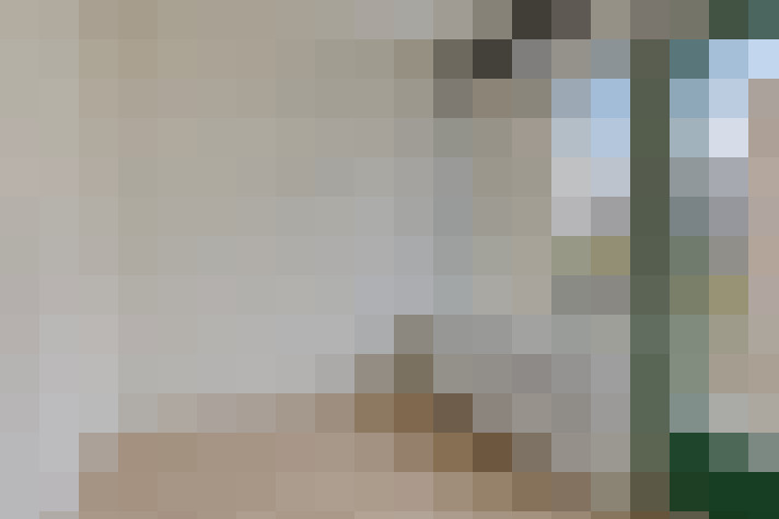  / #11