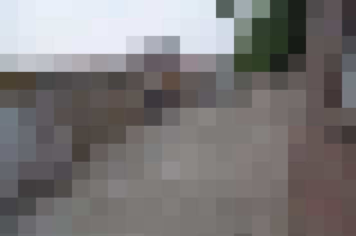  / #11