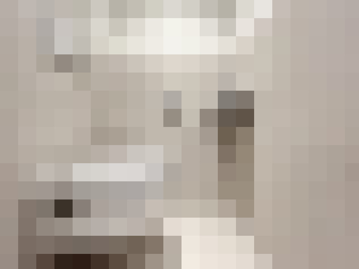  / #15