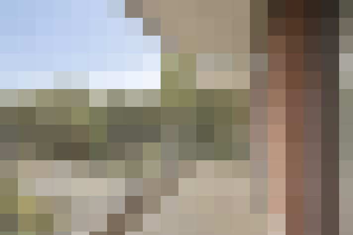  / #19