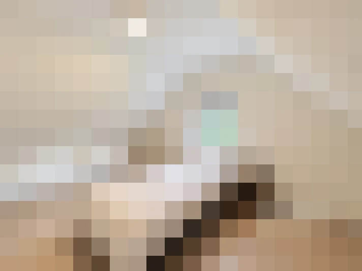  / #24