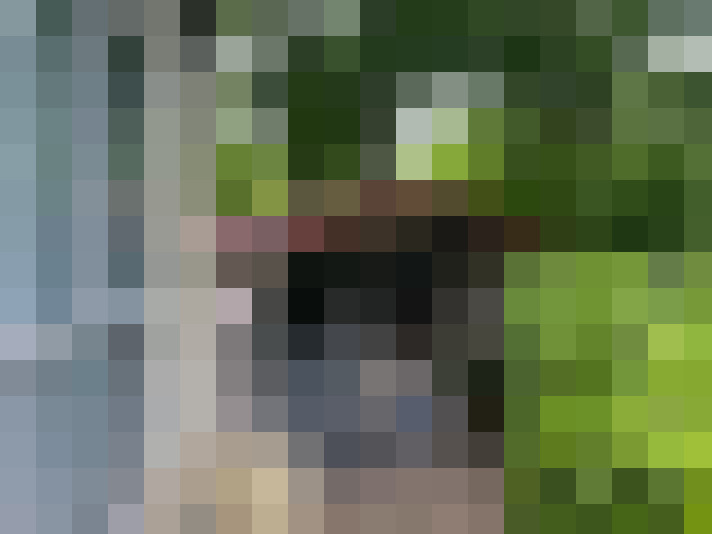  / #16