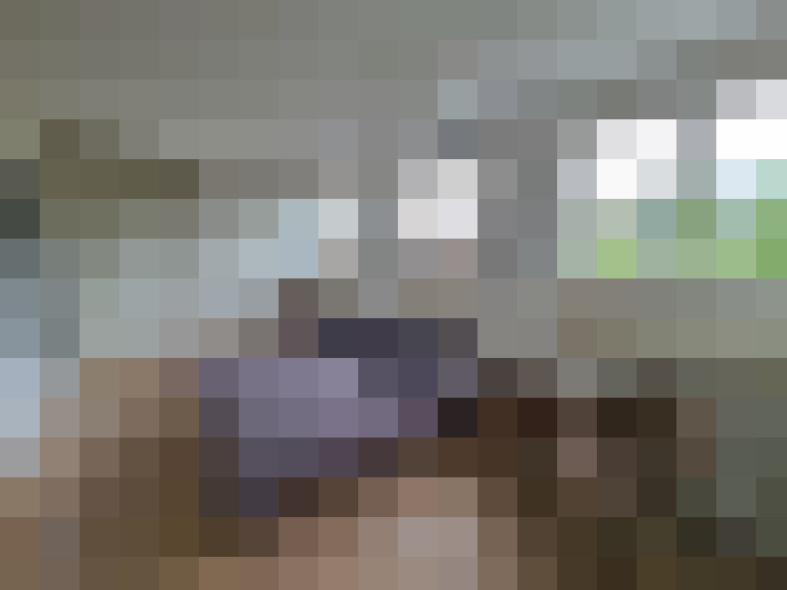  / #16