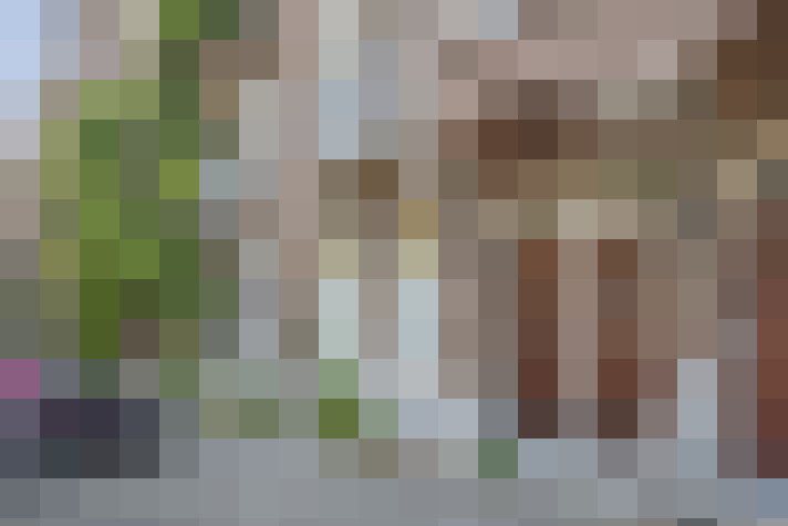  / #18