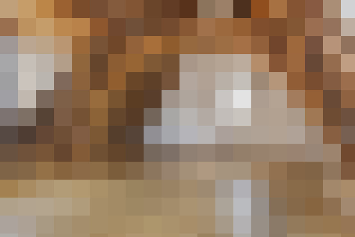  / #18