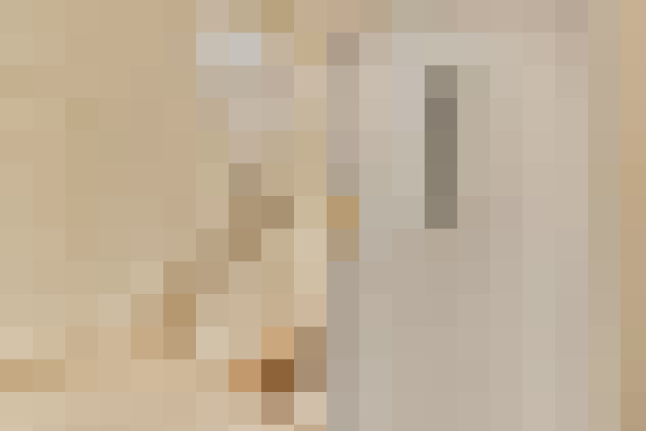  / #22