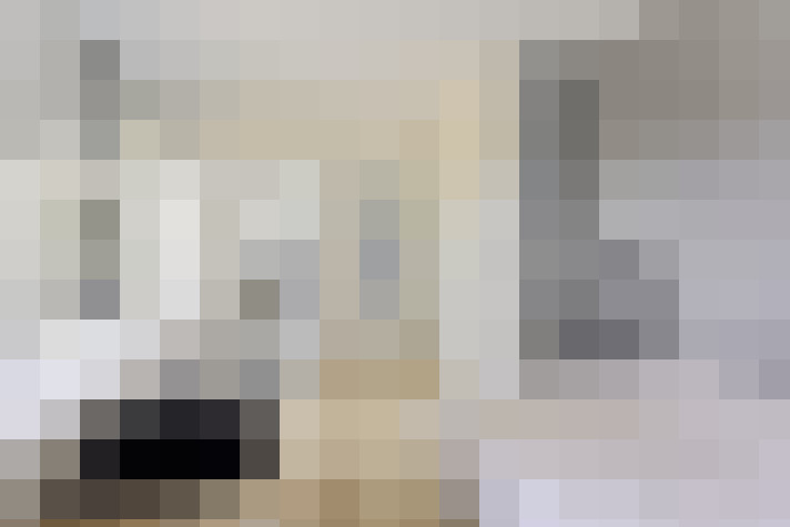  / #20