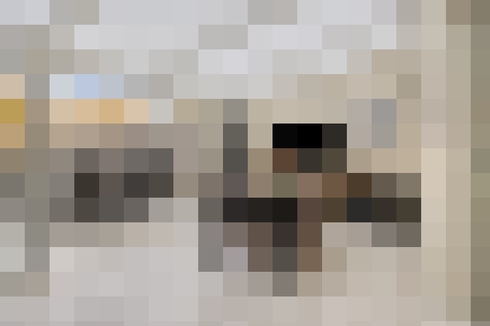  / #14