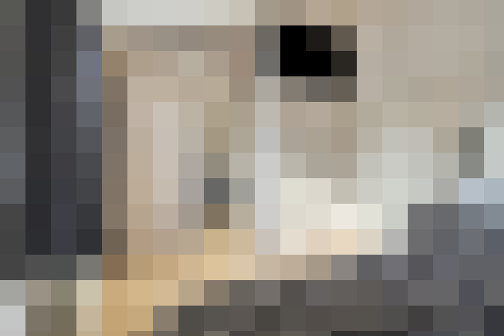  / #23