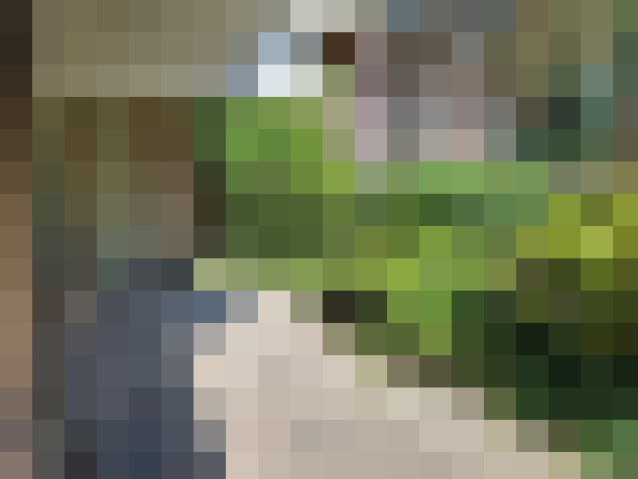  / #18