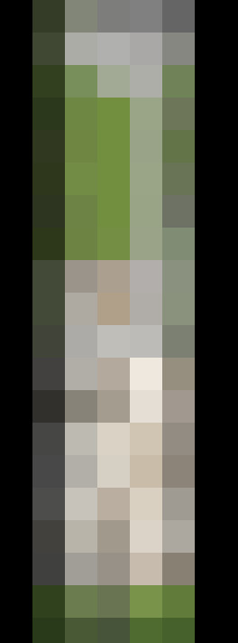  / #7