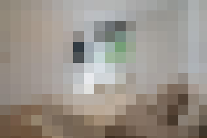  / #23