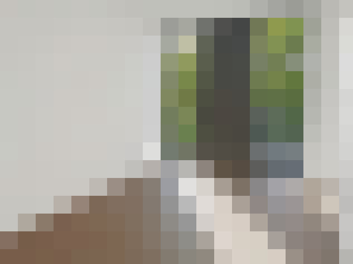  / #13