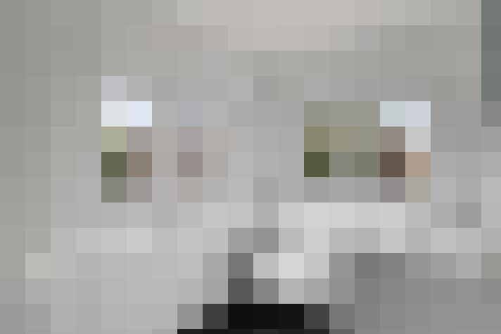  / #16