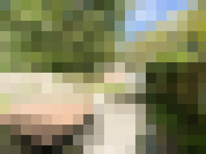  / #13