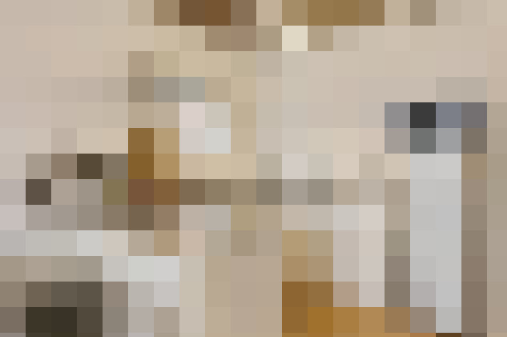  / #15