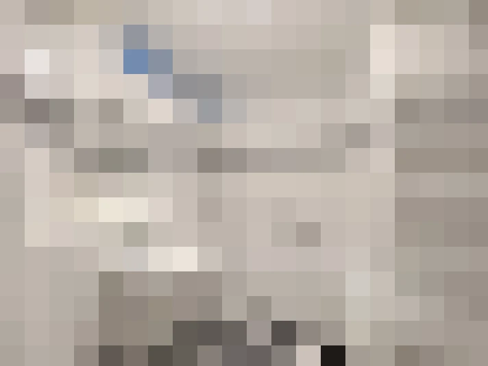  / #22